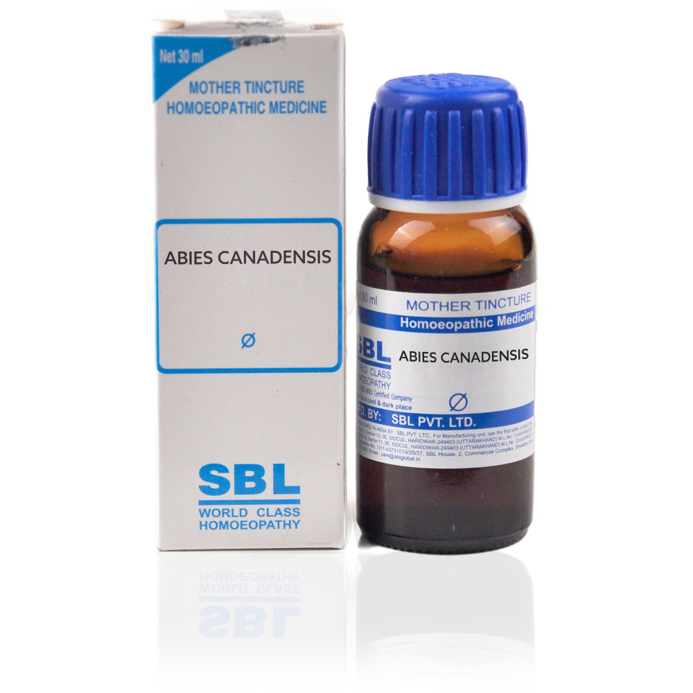 SBL Abies Canadensis 1X Q 30ml