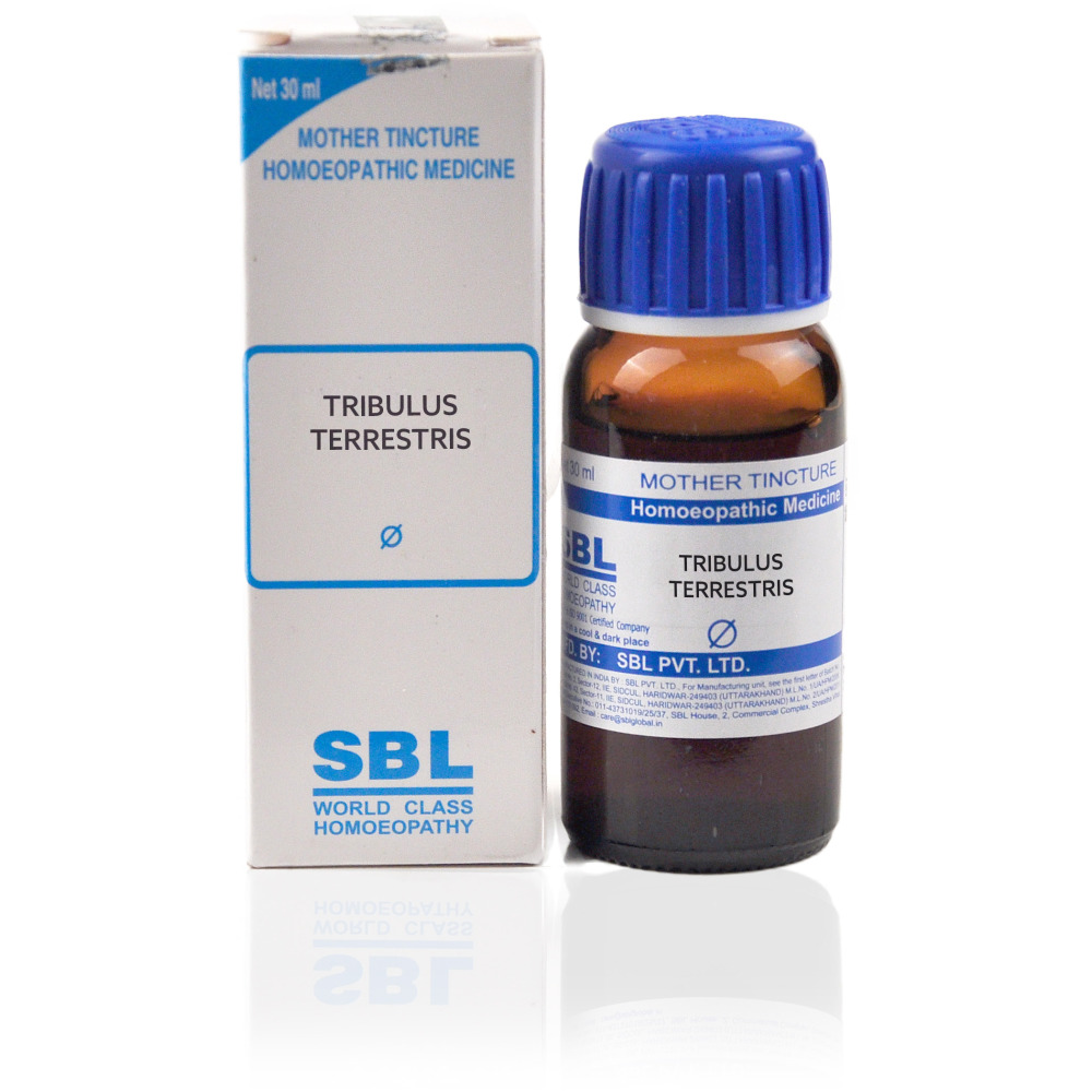 SBL Tribulus Terrestris 1X Q 30ml