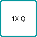 1X Q 